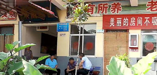 養(yǎng)老院十五年忽思?xì)w，子女驚愕方知亡母已逝廿八載