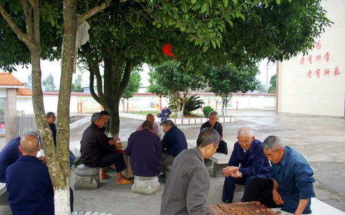 農村養老院與居家養老的平衡 以河南康乃馨為例的思考